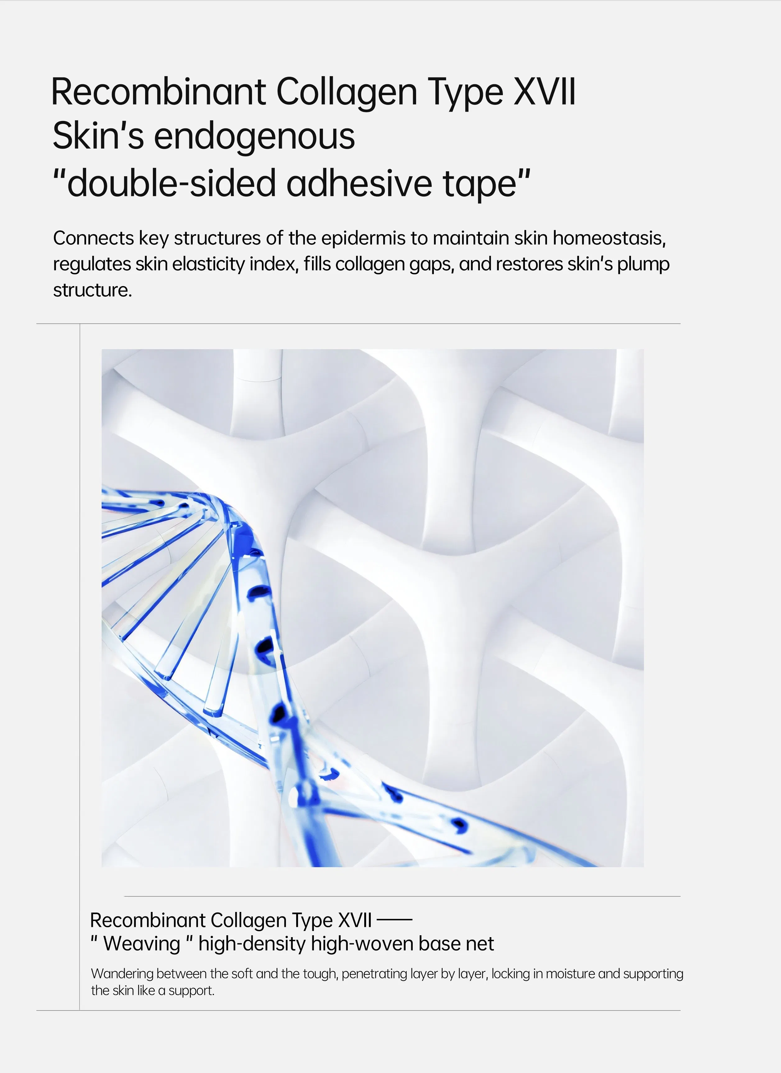 Skformula Recombinant Collagen Extract for Anti-Wrinkles and Anti-Aging Skin Care Products