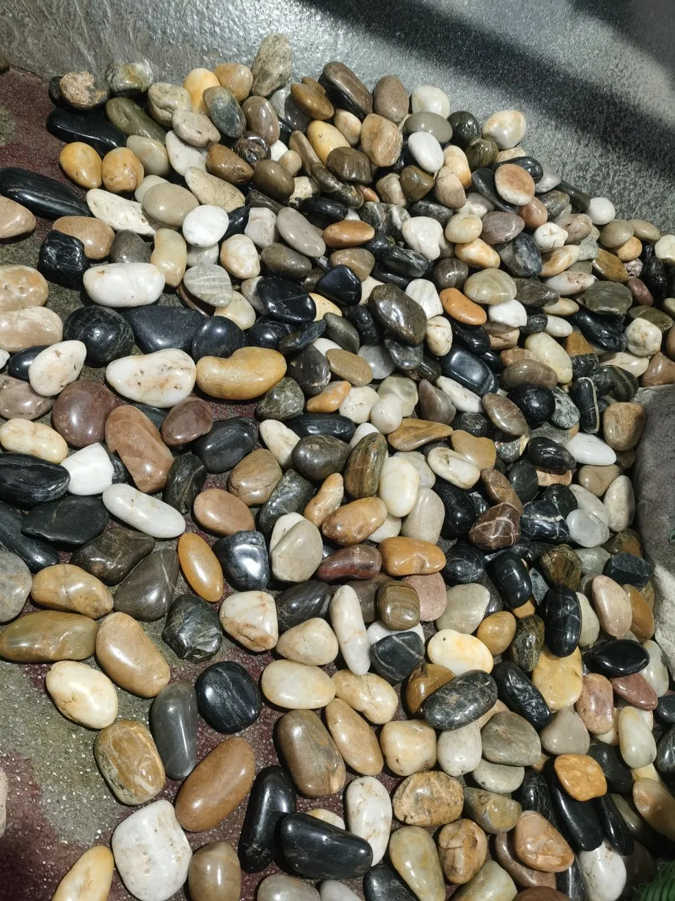 Natural Brown Red Black Grey White Pebble Stone Mixed Color for Decoration
