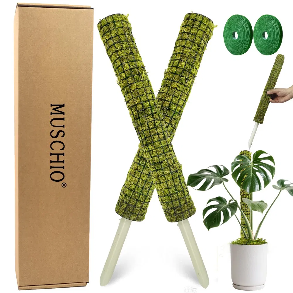 Moisture-Locking Stackable Green Moss Pole for Climbing Growth Monstera & Pothos Aerial Roots