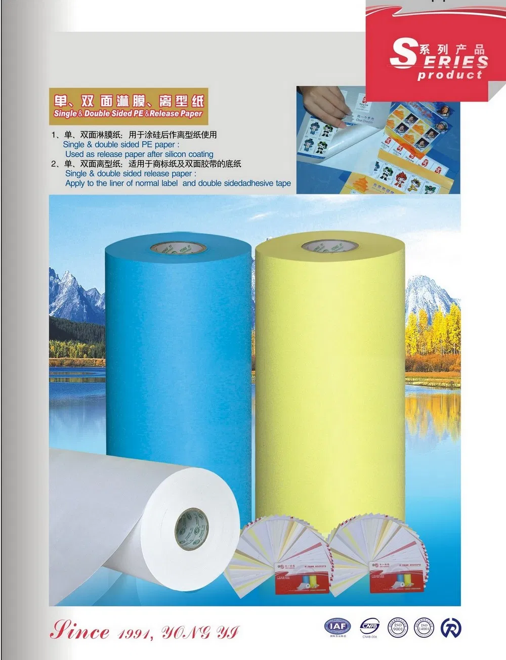High Quality Release Paper for Self Adhesive Label