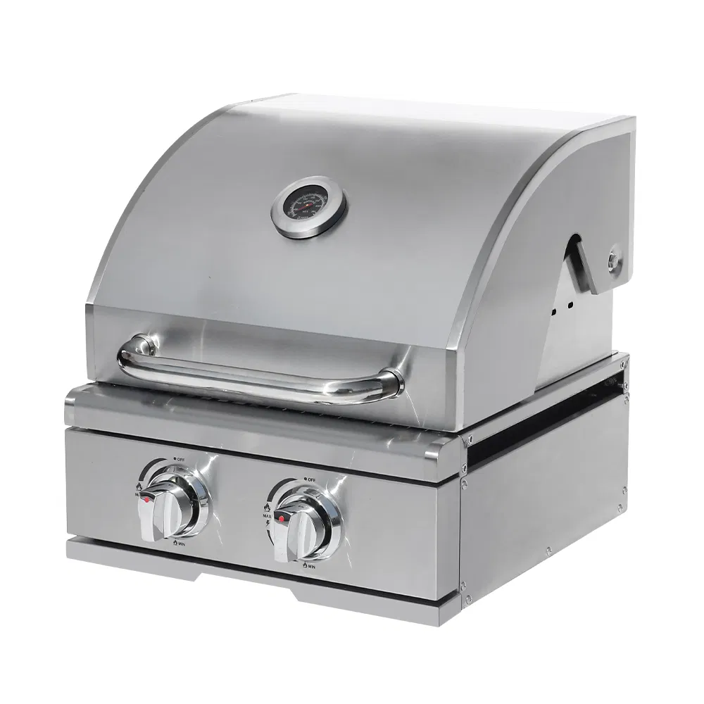 Premium 430 Stainless Steel Outdoor Gas Grill with Two Burners