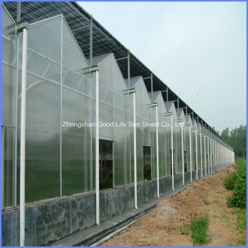 Polycarbonate Multi-Wall Structure Sheet for Greenhouse