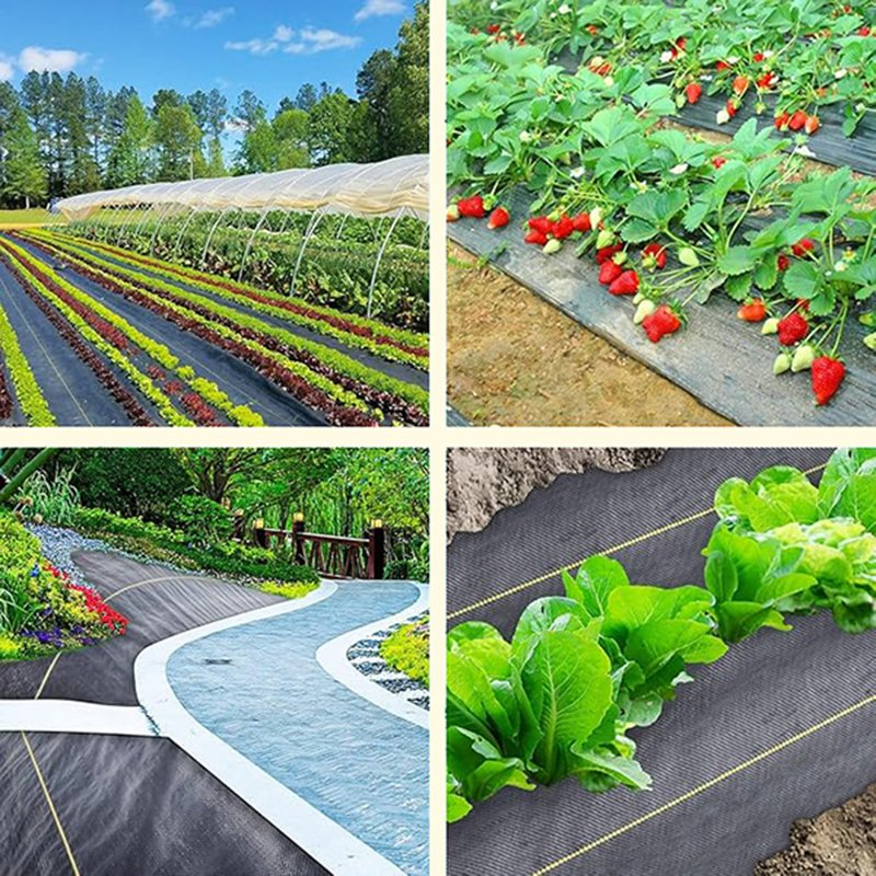 Best-Price Customizable Ground Cover for Garden Landscape