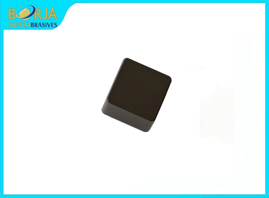 Sngn1910 CBN for Proecssing Bearing