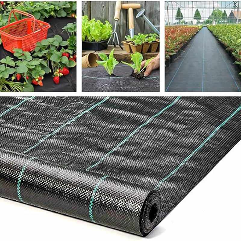 Best-Price Customizable Ground Cover for Garden Landscape