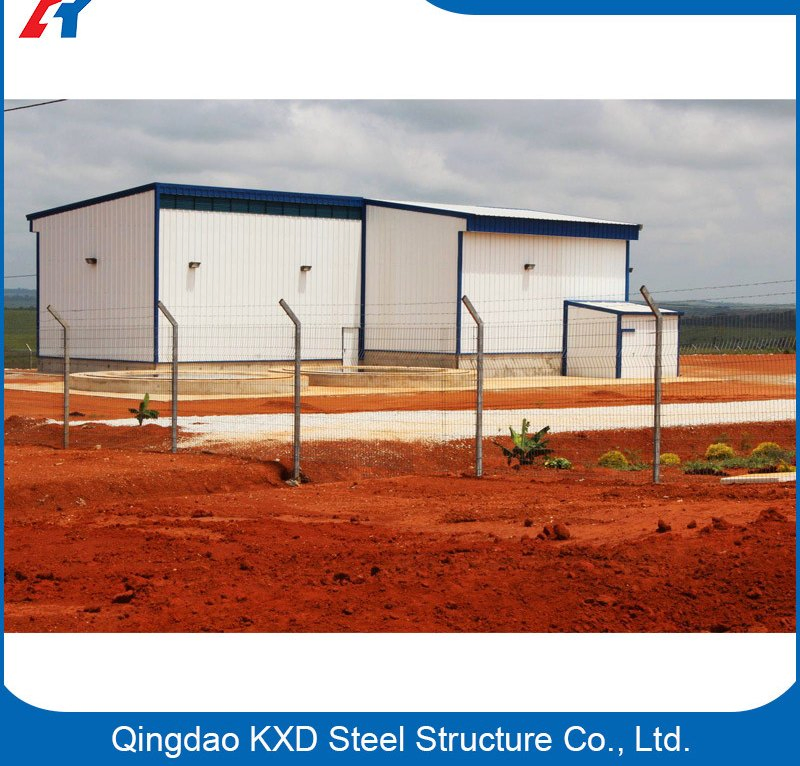 Steel Structure Prefabricated Metal Hangar/Shed