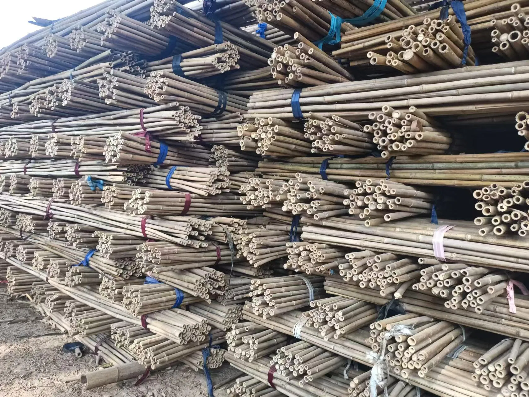 Factory Hot Sale Natural Bamboo Raw Materials Bamboo Pole Stakes for Horticulture Plantation Support