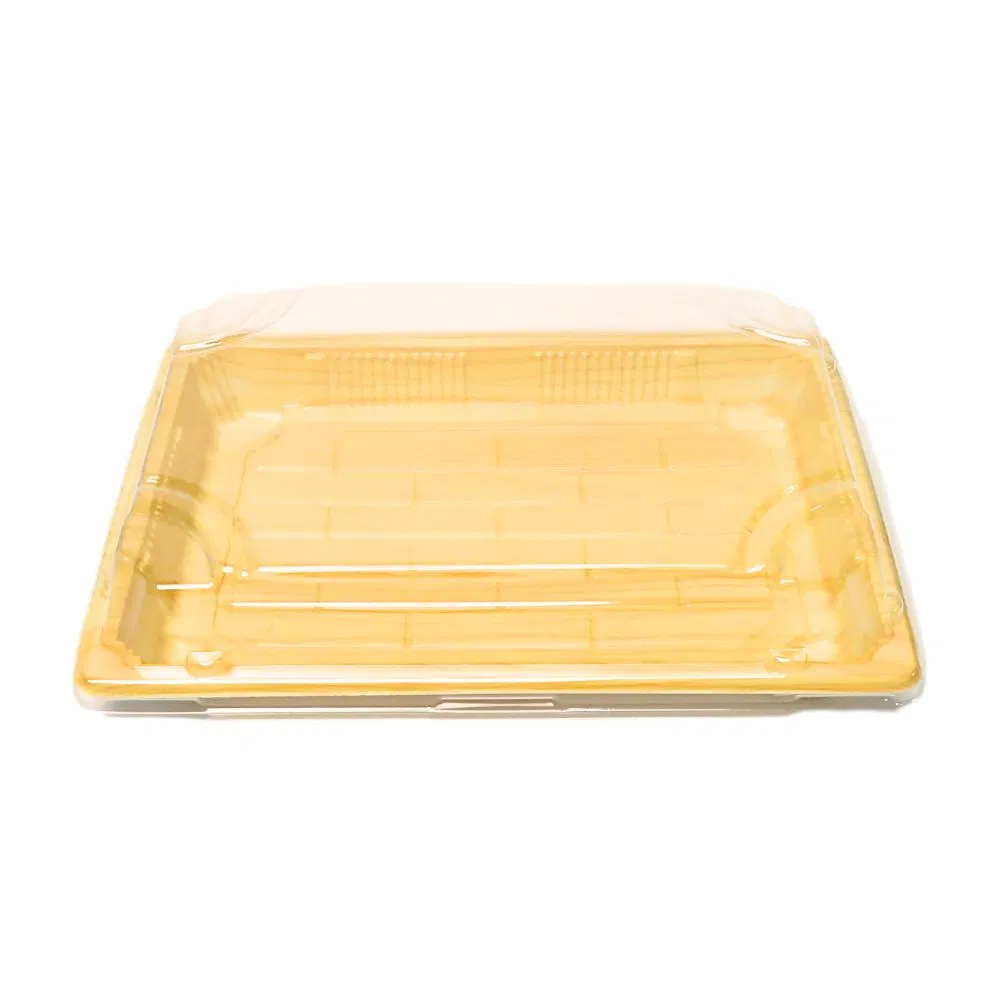 Wholesale Plastic Reusable Food Container Disposable Fast Food Packaging Takeaway Rectangle Sushi Box with Clear Lid