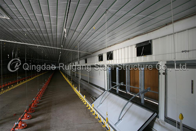 Poultry Farm Business Plan for Chicken House