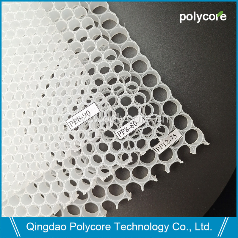 Plastic Honeycomb Core Beehive Core (PP12) for Air Purifier
