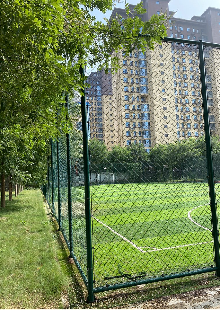 Galvanized Black Chain Link Fence for Sport Field