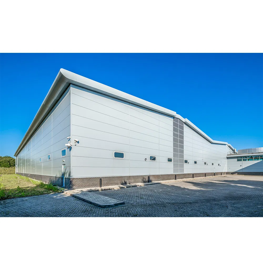 Low Price Steel Structure Hangar Warehouse Storage Building Prefabricated Steel Building