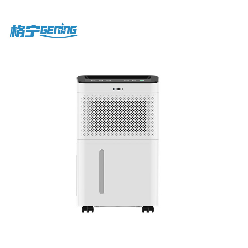 Compact Home Dehumidifier for Effective Basement Moisture Control