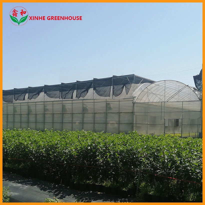PE 150mic Tunnel Plastic Agricultural Multi Span Film Greenhouses with Shading System