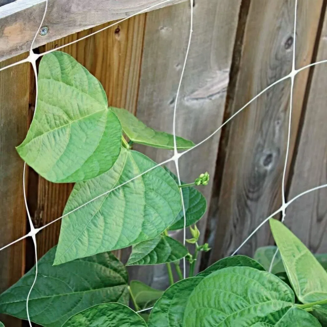 Magnetic Plant Trellis Panels That Attach to Metal Fences Without Tools