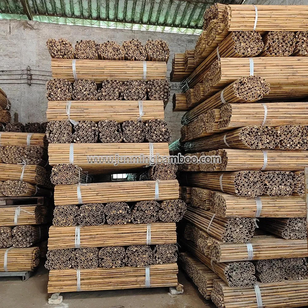 Wholesaler Best Selling Durable Bamboo Fences Natural Bamboo Fencing Garden Screen Rolled Bamboo Fence Panel Made in China