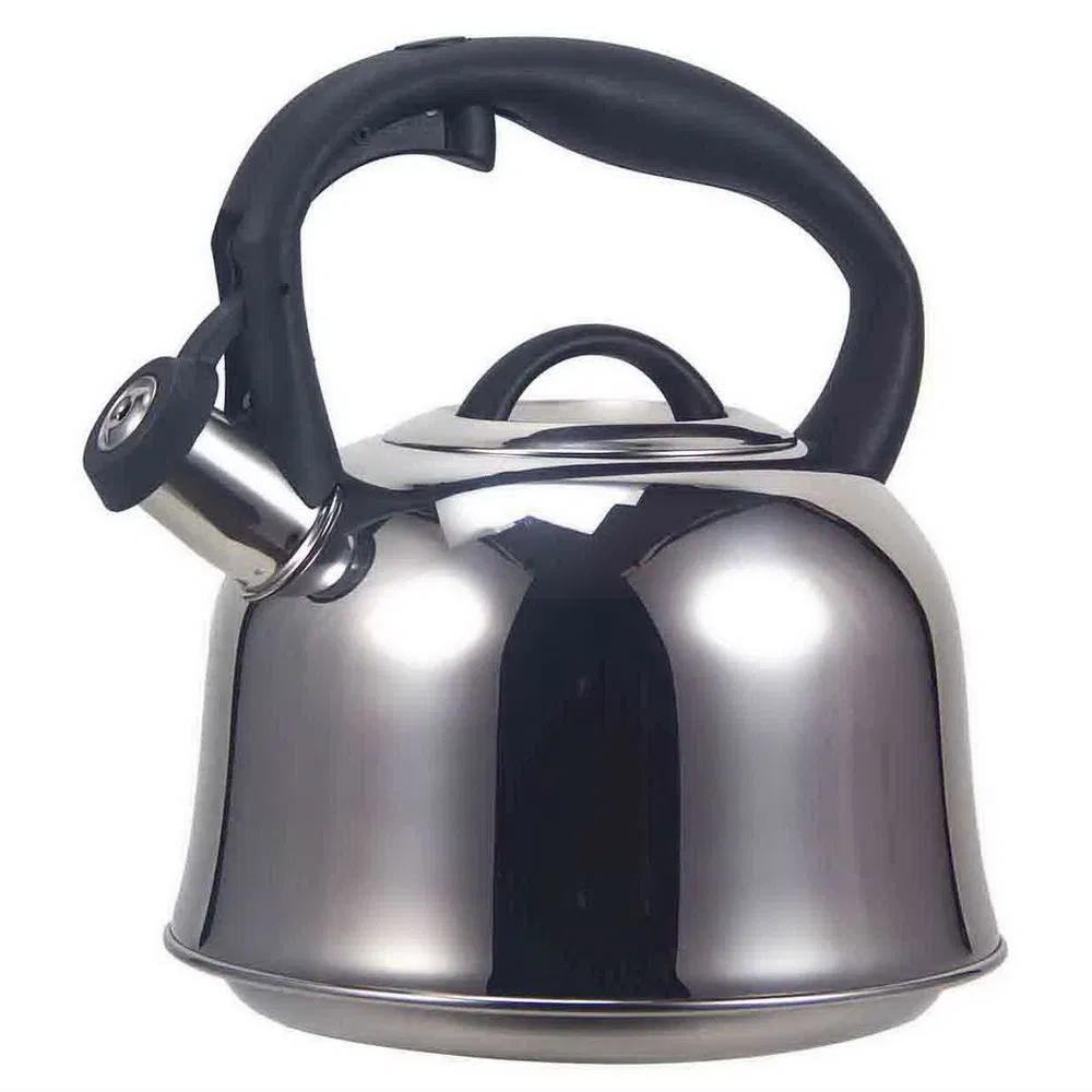 Чайник из нержавеющей стали 3 л с нейлоновой ручкой