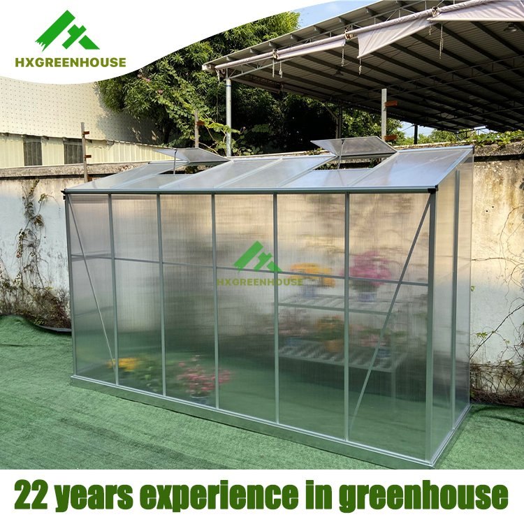 Polycarbonate Green House Smart Complete Sun Structure Small Portable Modern Greenhouse Garden