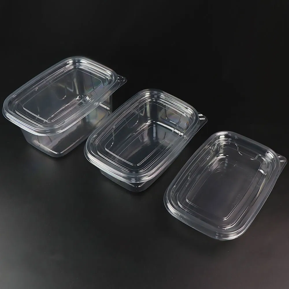 Factory Price Clear Food Grade All-Purpose Disposable Pet Plastic Container for Packaging