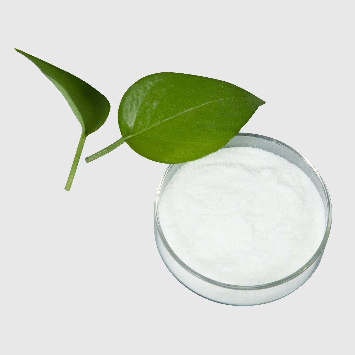 Carboxymethyl Cellulose Sodium, CMC, CAS No 9004-32-4, Paint, Industry, Pharma, Food Grade.