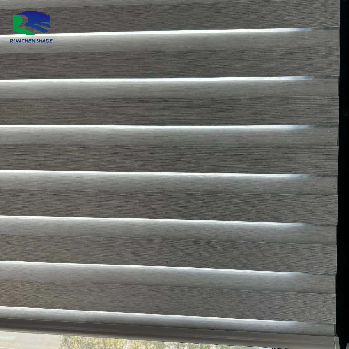 Shutters Zebra Window Blinds for Window