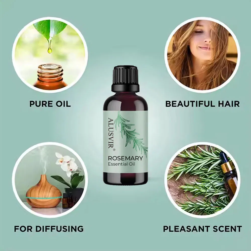 Customize Organic Rosemary Essential Oil for Skin Whitening Hair Regrowth Aromatherapy