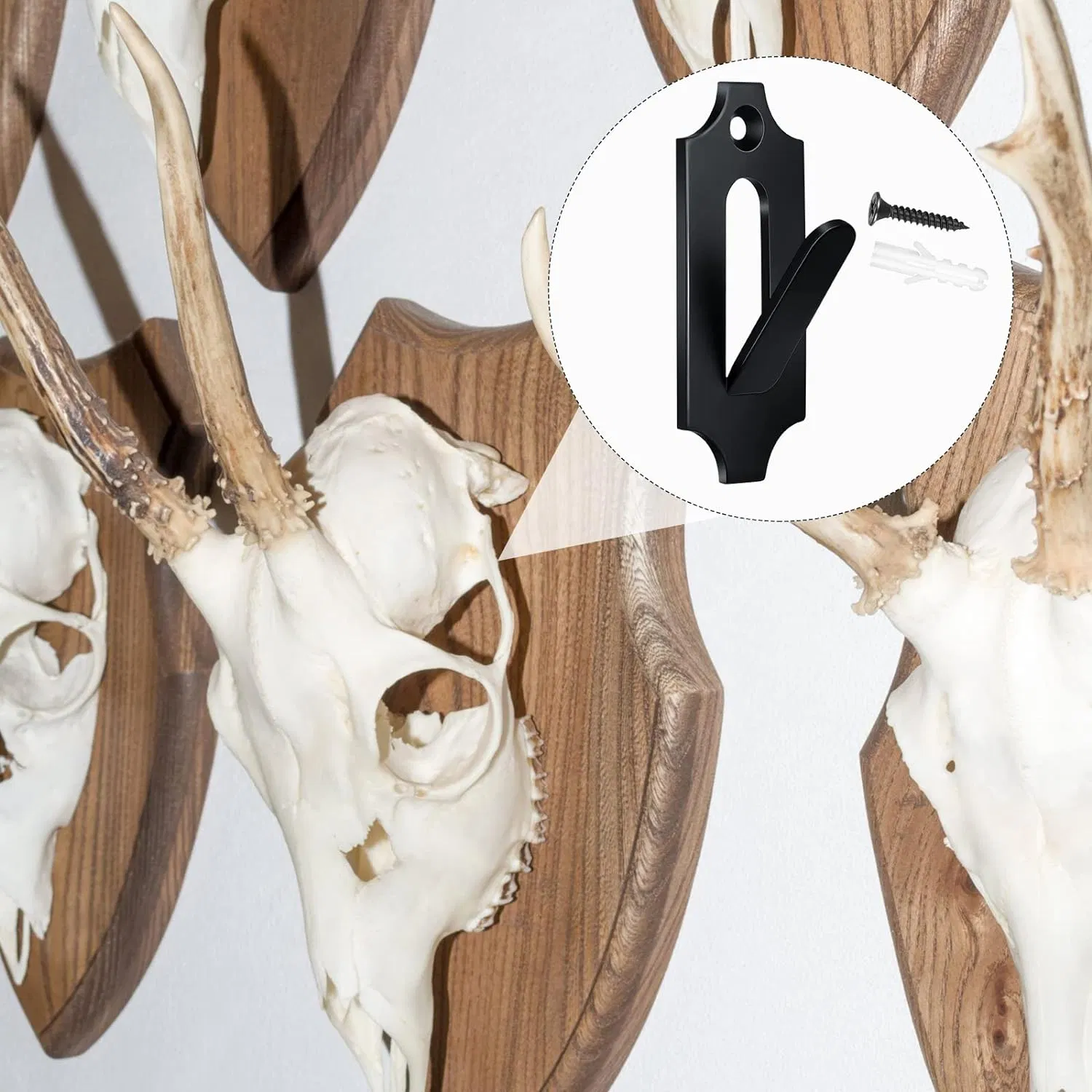 Skull Mount Bracket Hook for Hanging Deer Mule Antelope Coyote