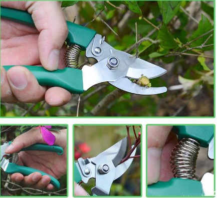 Titans Wholesale Household Stainless Steel Garden Secateurs Plant Cutting Tools Fruit Trees Branch Florist Scissors Manual Hand Pruner