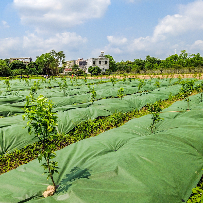 Wholesale Gardening Cobblestone Underlayment Breathable Environmental Green Weed Control Cloth
