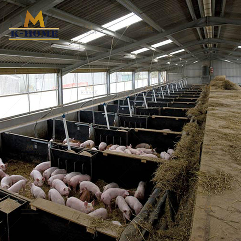 Modern Design Steel Structure Chicken Poultry Breeding Shed Poultry Farm