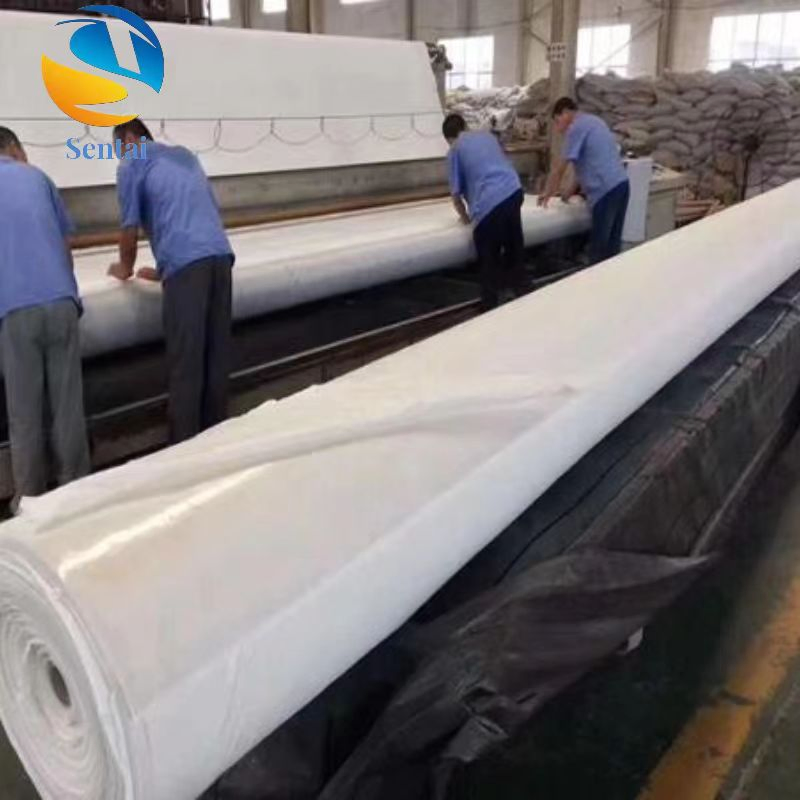 Polyester Filament Composite Geomembrane for Anti-Seepage Geomembrane in Canal Water Conservancy and River Management Engineering