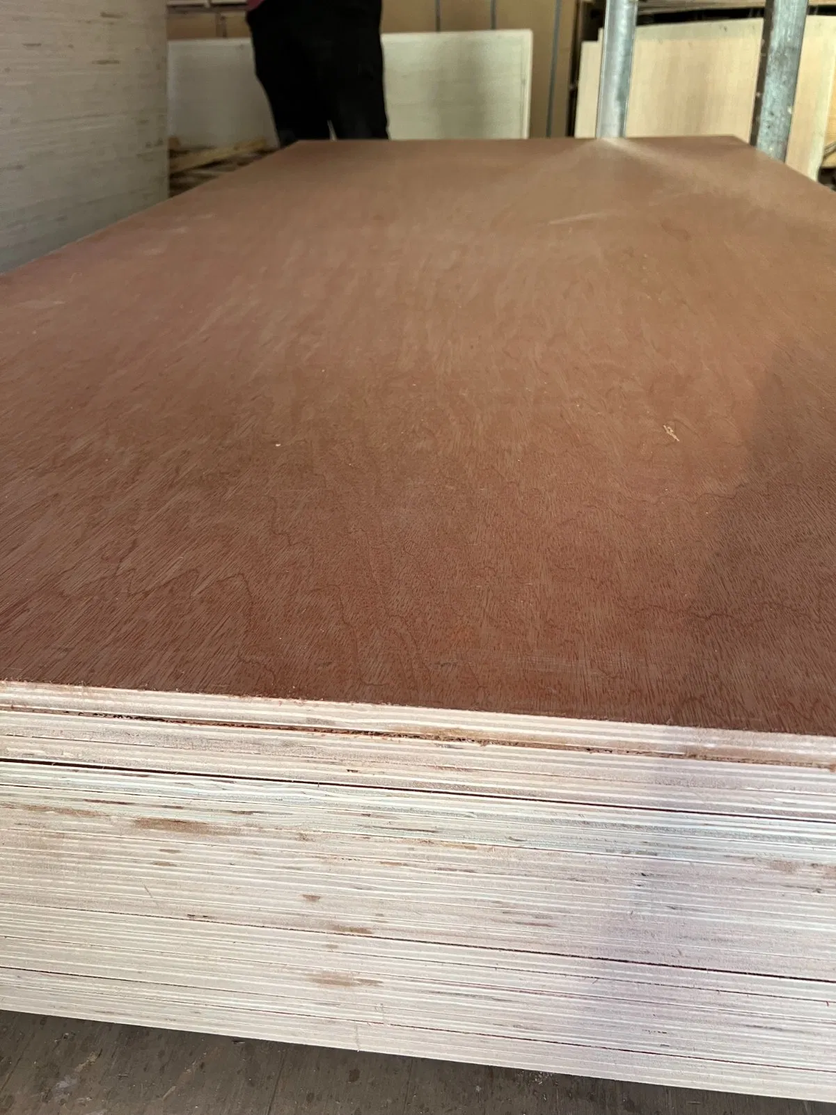 Low Price Meranti (Luan) Poplar Core Plywood