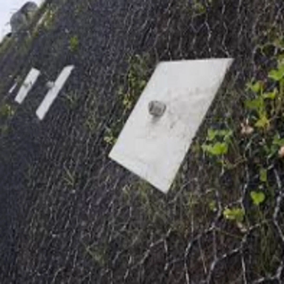 Eco-Friendly Geomat for Effective Soil Erosion Prevention and Grass Growth