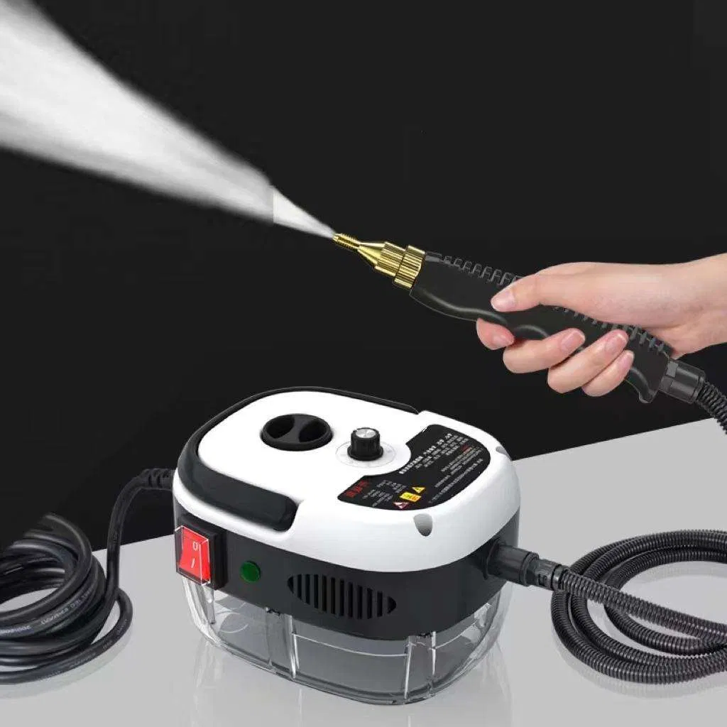 110V 220V 1500W High Temperature Pressurized Portable Handheld Steam Cleaner