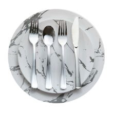 Premium Plastic Plates Combo: Large Dinner & Salad Plates