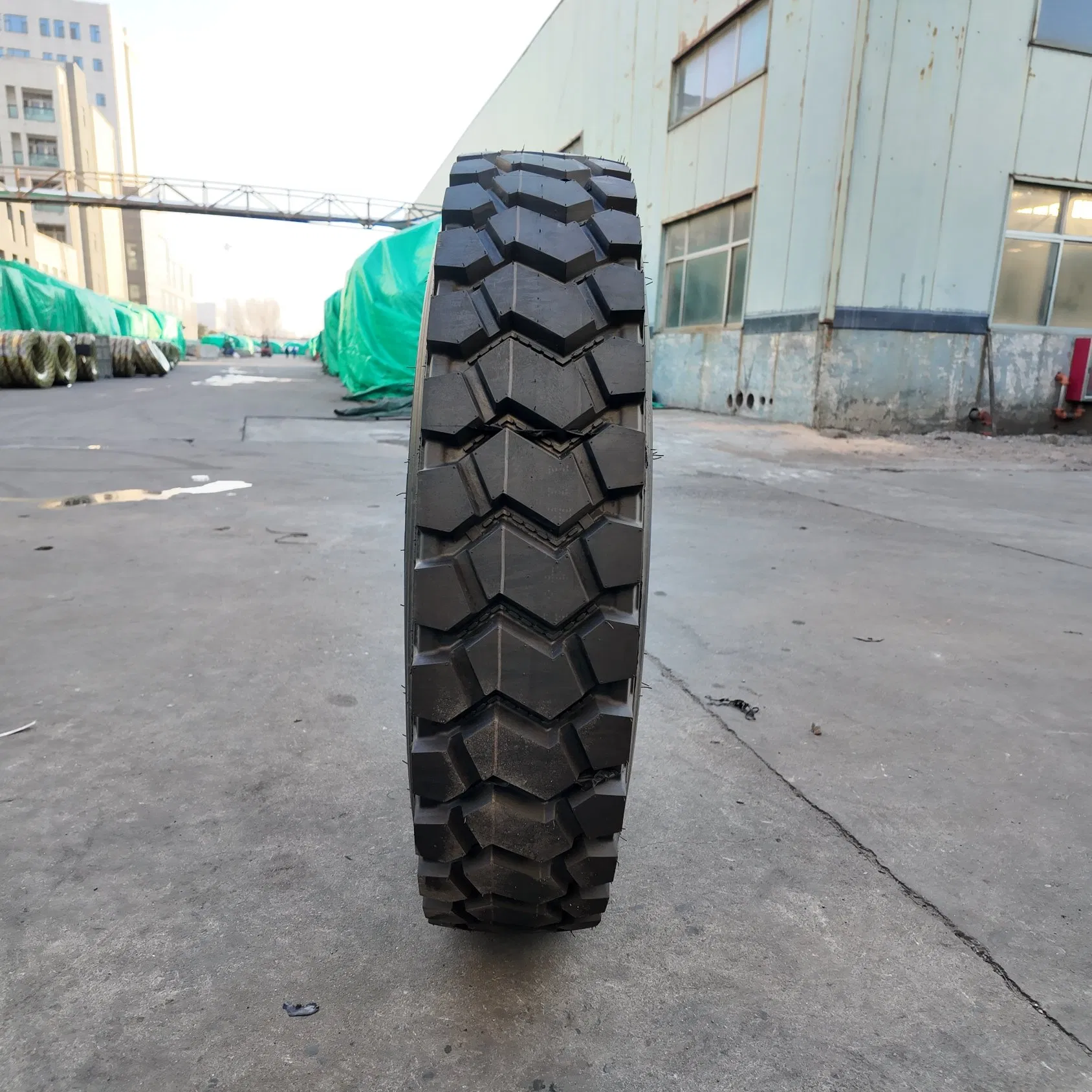 Certified Steer Tire for EU Market