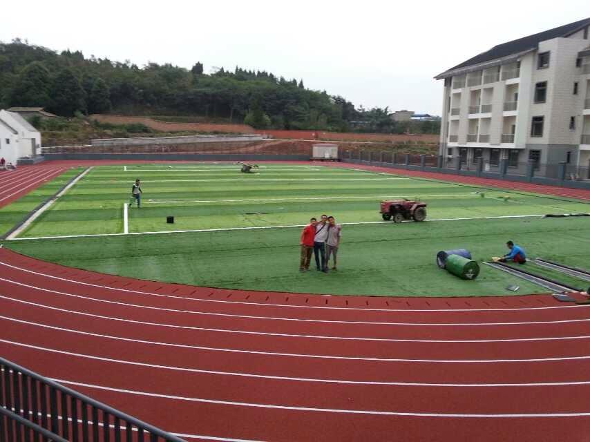 Playground Jogging Running Track Use EPDM Rubber Granule