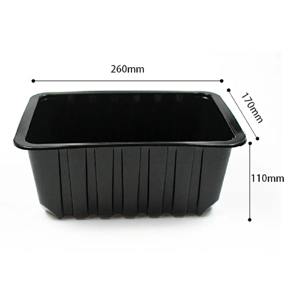 Disposable Plastic Tableware 160mm Length PP Plastic Container Black Custom for Dinner