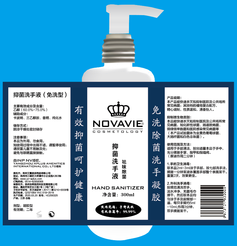 300ml Cosmetic Liquid Hand Sanitizer Soap 10