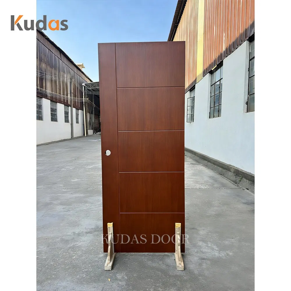 Modern Design Internal Interior Wooden Door Simple Swing Flush Panel for Home