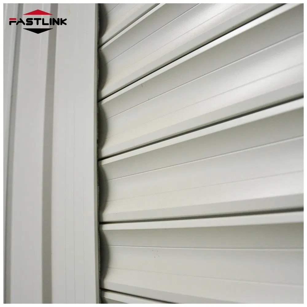 Fastlink Customized Industrial Automatic Increased Security Shutter Steel Wind Rolling Shutter Doors