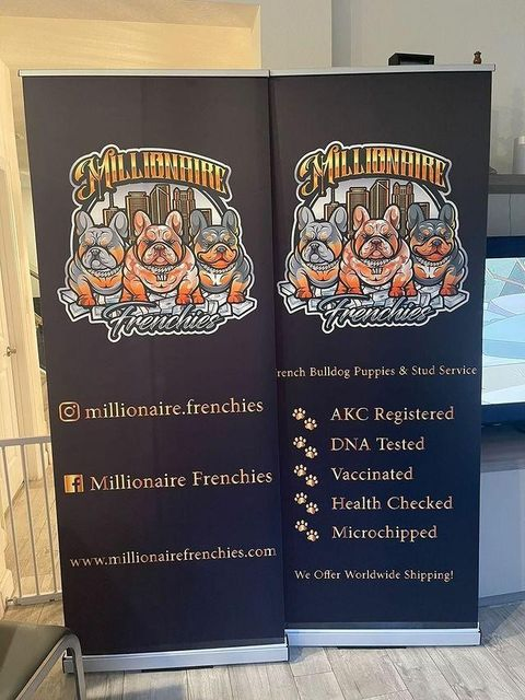 Exhibition Activity Light Weight Custom Printed Advertising Promotional Indoor Outdoor Easy up Aluminium Roll up Stand
