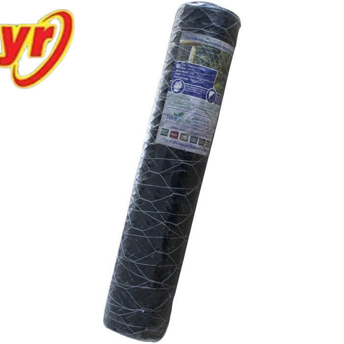 Cold Galvanized Chicken Mesh for Wall Plaster Mesh Anti Rust Easy to Install