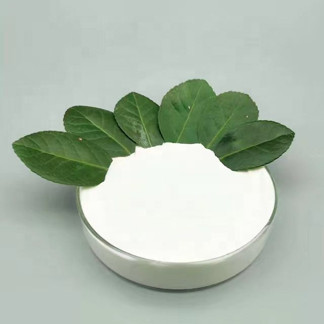 Mecellose HPMC Plant for HPMC Paint Raw Material CAS 9004-65-3