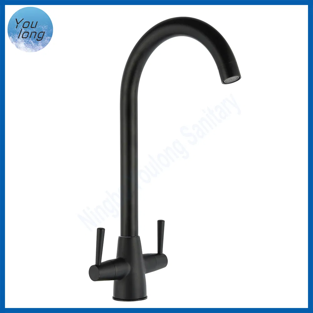 Black Kitchen Sink Filter Faucet 304 Stainless Steel with Adjustable Double Handle