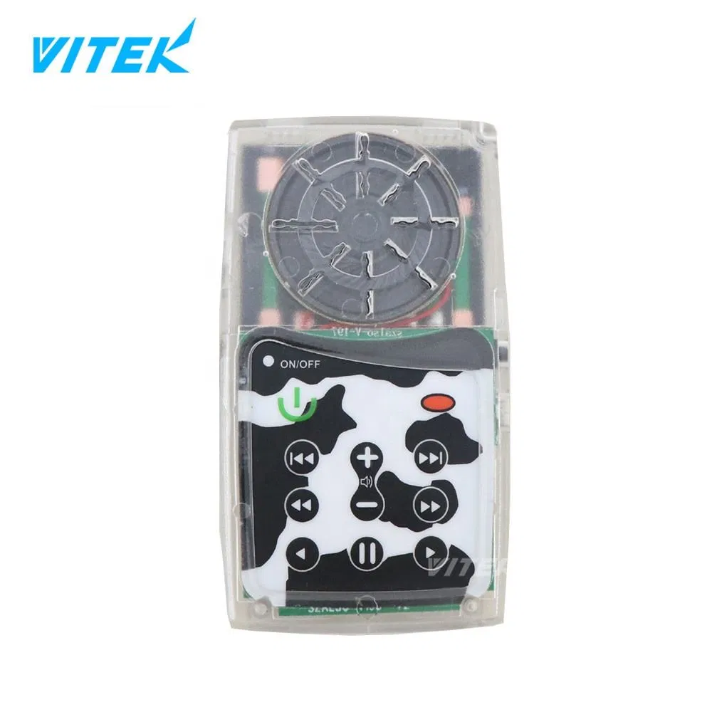 Transparent Jail Prison Christian Digital Holy Mini Small Pocket Solar Powered Rechargeable Portable MP3 Audio Bible Player