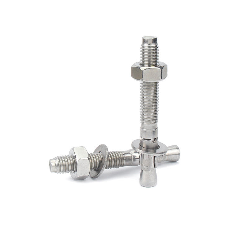 Fastener 304 316 Stainless Steel Concrete Through Expansion Wedge Anchor Bolt