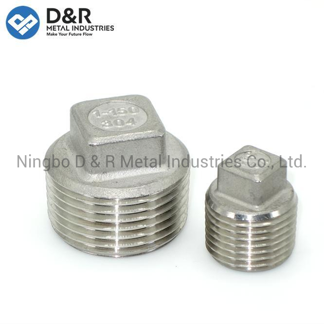 NPT Pipe Head Plug Stainless Steel