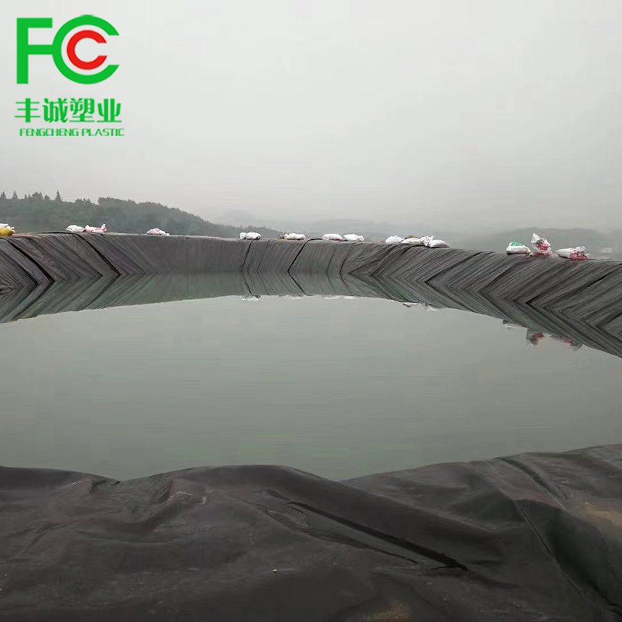Swim Pool Fish Pond Farm Liner HDPE Geomembrane