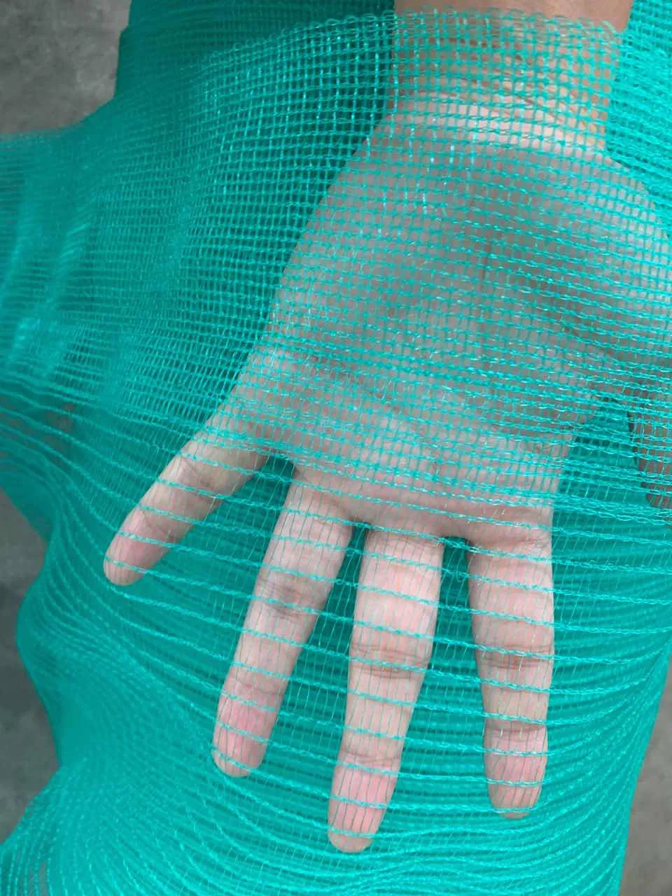 Professional High Quality Construction Scaffolding Material